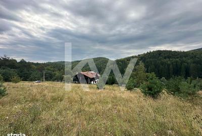 Teren de 2000 mp, în Măieruș - 1