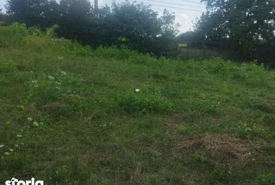 Teren de 562 mp, în Bârnova - 2