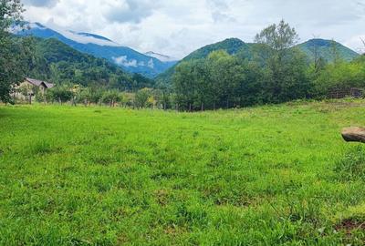 Spațiu comercial, în Malaia - 6