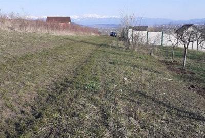 Teren de 550 mp, în Șura Mare