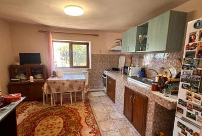 Casa in centrul Cobadinului - 20