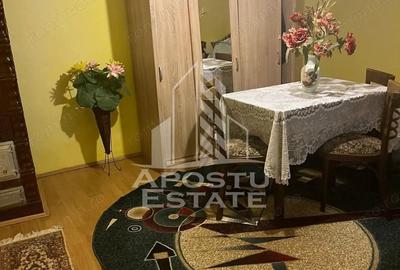 Casă cu 3 camere cu Teren 500 Mp în Făget - 19