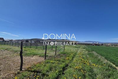 Teren Construcții intravilan de 520 mp, în Bălești - 6