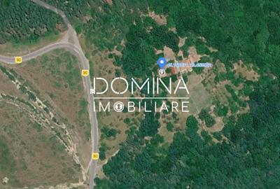 Teren Construcții de 4790 mp, în Mușetești - 10