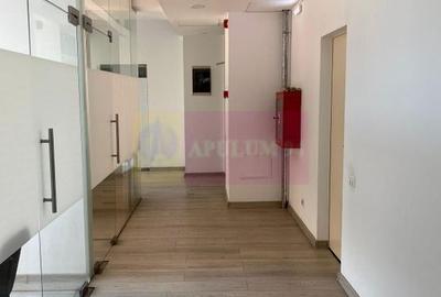 Spațiu birouri 30 mp - Prosper Mall, Sector 5 - utilități incluse - 6