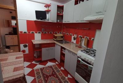 Apartament cu 2 camere decomandat în Lacu - 8