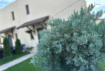 Casă cu 5 camere cu Teren 120 Mp în 1 Decembrie - 5