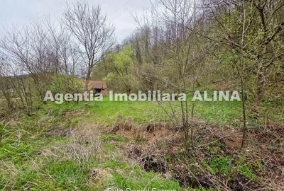 Teren în Nojag - 13