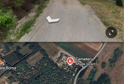 Teren de 9700 mp, în Borșa - 5