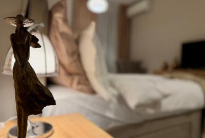 INCHIRIERE 3 CAMERE LUX- MOBILAT SI UTILAT -IMOBIL  2018-- ZONA UNIRII/ TRIBUNAL - 36