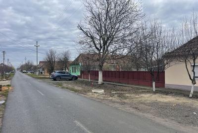 Casă și teren 2177 mp Ortisoara -28ml front-comision 0 - 2
