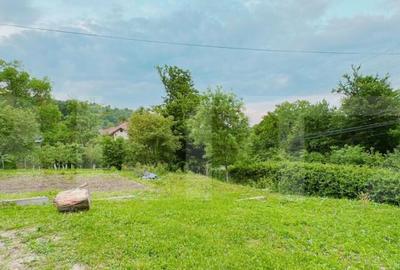 Casă cu 3 camere cu Teren 2000 Mp în Moreni - 1