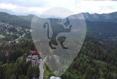 Teren in Predeal toate utilitatile, str. Nicolae Balcescu - 11