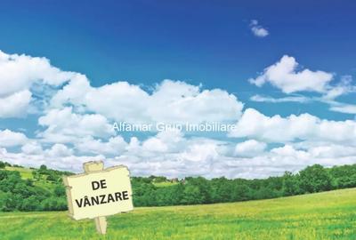 Teren de 600 mp, în Vlădiceasca