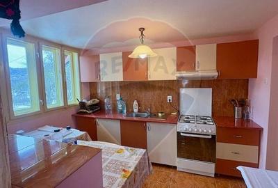 Casă individuală cu 6 camere cu Teren 1123 Mp în Breb - 22