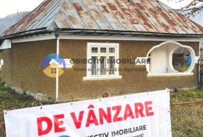 Casa PANGĂRAȚI la DN 15 cu vedere spre raul BISTRIȚA - 1