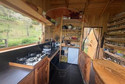 Casă cu 14 camere cu Teren 62330 Mp în Horea - 18