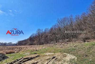 AZURA IMobiliare - Teren Bascov 2km de Giratoriu - 7