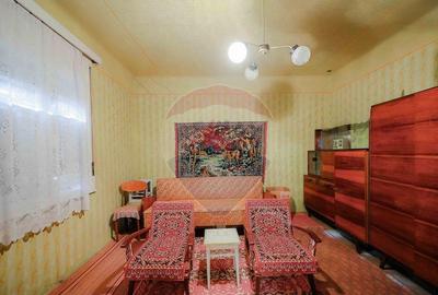 De vanzare casa cu teren de 3036 mp in Bor? - 1