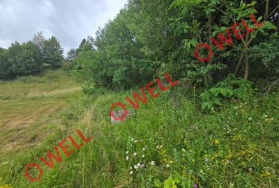Teren agricol extravilan de 3400 mp, în Sărămaș - 2