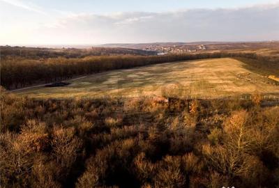 Teren în Săldăbagiu de Munte - 8