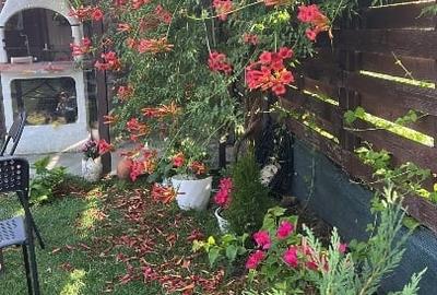 Casa Tunari - single - 500mp teren - 5