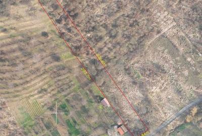 Spațiu comercial, în Podgoria