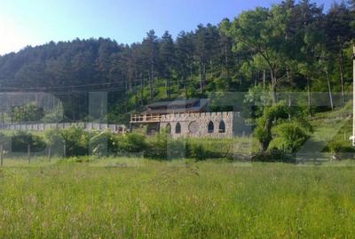 Casa individuala la rosu, 247 mp, teren 5000 mp in Surduc - 5