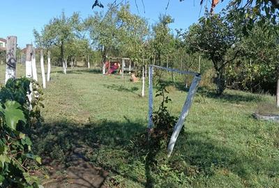 Casă cu Teren 1439 Mp în Alioș - 9