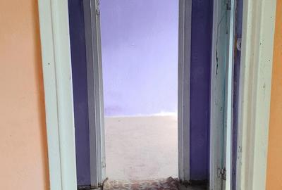 Apartament cu 2 camere semidecomandat în Central - 17