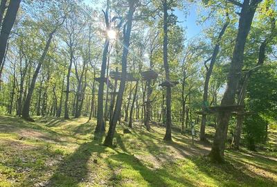 Proprietate specială, de 1,537,099 mp, în Herneacova - 14