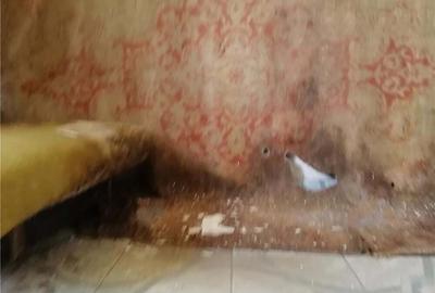 Casă cu 3 camere cu Teren 500 Mp în Bulbucata - 2