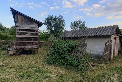 Casă cu 5 camere cu Teren 4500 Mp în Bâscenii de Sus - 7