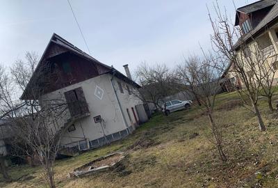 Casă cu 4 camere cu Teren 2000 Mp în Hida - 2