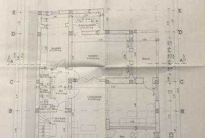 Casă individuală cu 11 camere cu Teren 276 Mp în Cotroceni - 5