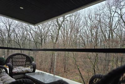 Apartament 3 camere Iancu Nicolae, padure, mobilat, utilat - 13