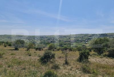 Teren extravilan 1,5 h  pentru investitie - 2