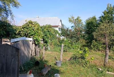 Casa+teren de vanzare in Adancata, Suceava - 11