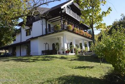 Topoloveni - Conacul Ion Mihalache, Domeniu pe 5 Hectare!