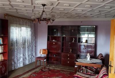 Casă cu 6 camere cu Teren 2350 Mp în Tântava - 4