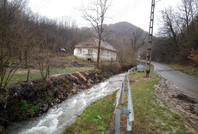 Casă cu 3 camere în Hălmagiu - 6