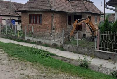 Casă cu 3 camere în Viișoara - 1