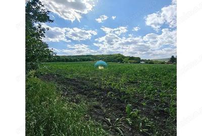 Teren intravilan de vanzare ideal pentru investitie - 2