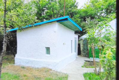 Casă cu 3 camere în Gurbănești - 5