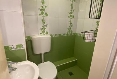 Garsonieră semidecomandată, mobilată în Unirii - 3