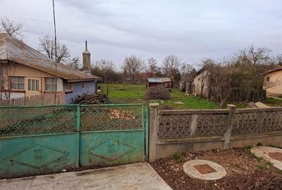 Crevedia - Darza , teren si casa batraneasca - 4