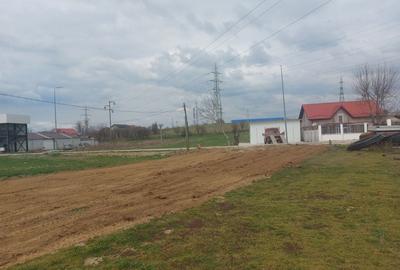 Spațiu comercial, în Ișalnița - 5