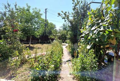 Casă cu 4 camere în Odaia Turcului - 15