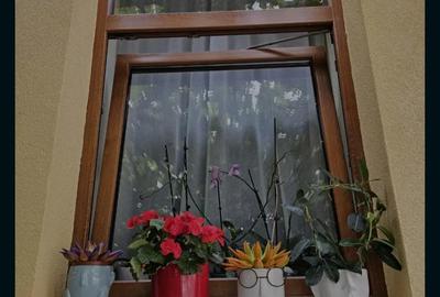 Apartament cu 2 camere semidecomandat în Ultracentral - 3