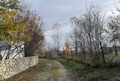 Teren de 953 mp, în Săteni - 3